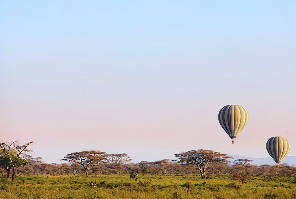6 Days Tanzania Safari Including Hot Air Balloon